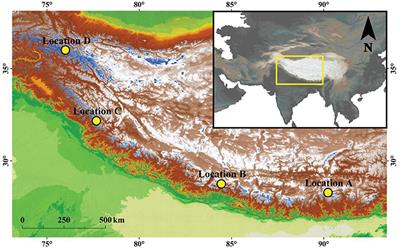 An Examination of Physical Processes That Trigger the Albedo-Feedback on Glacier Surfaces and Implications for Regional Glacier Mass Balance Across High Mountain Asia